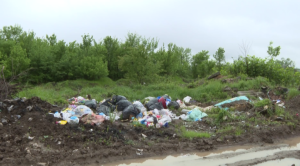 Screenshot_5-11-768x426