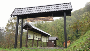 TESLIC-PECINA-RASTUSA-768x432