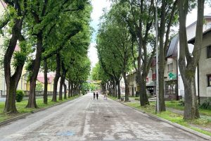 20250606161915_908958