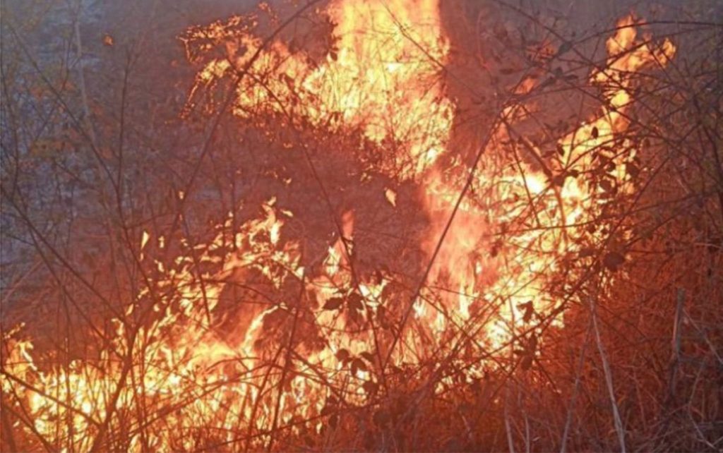 20250715110311_916147