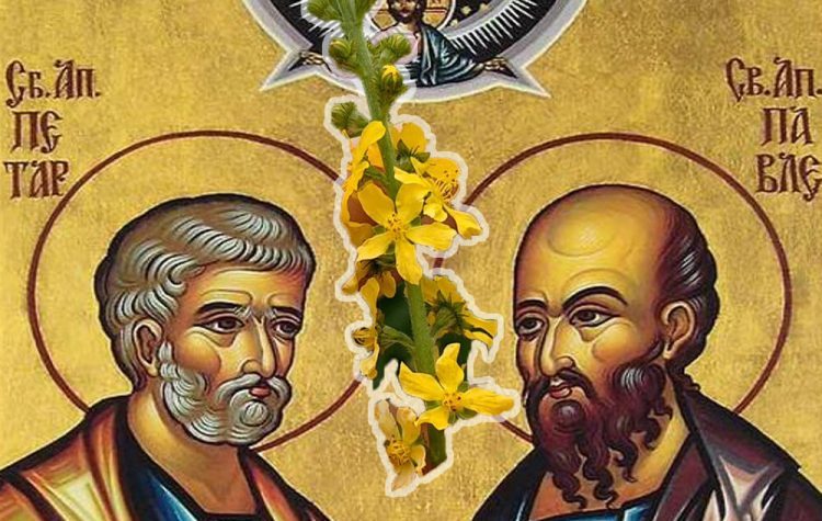 petar-i-pavle-petrovdan