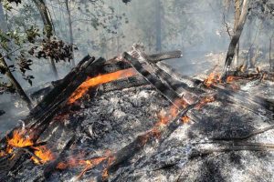 20250815154450_921923