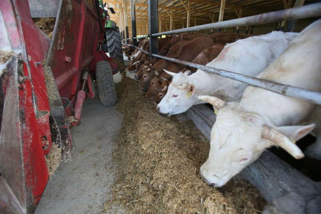 20250828122136_924100