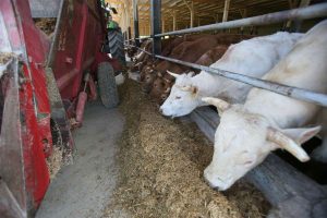 20250828122136_924100