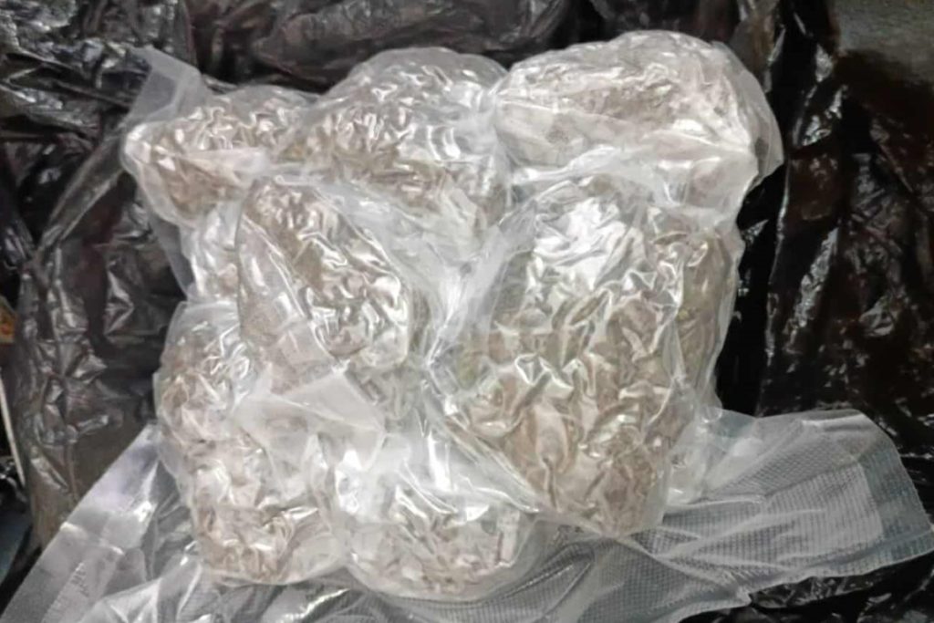 20250830114050_924475