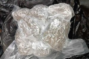 20250830114050_924475