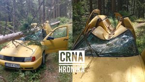 IMG-3d7782dbccb11f00d4e982e40b3df4da-V