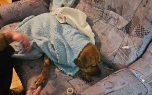 20251019123722_933470