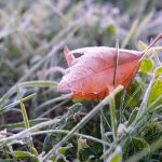 PRVOMAJSKI URANAK OSVANUĆE SA MINUSOM: Danas kiša i snijeg (FOTO)