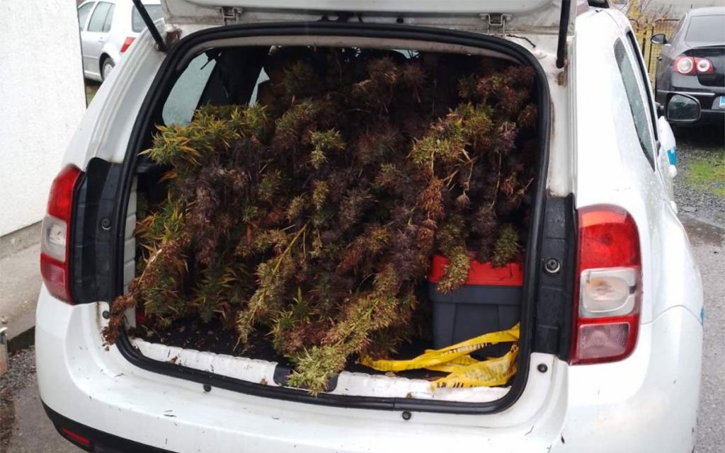 20251111134349_937159