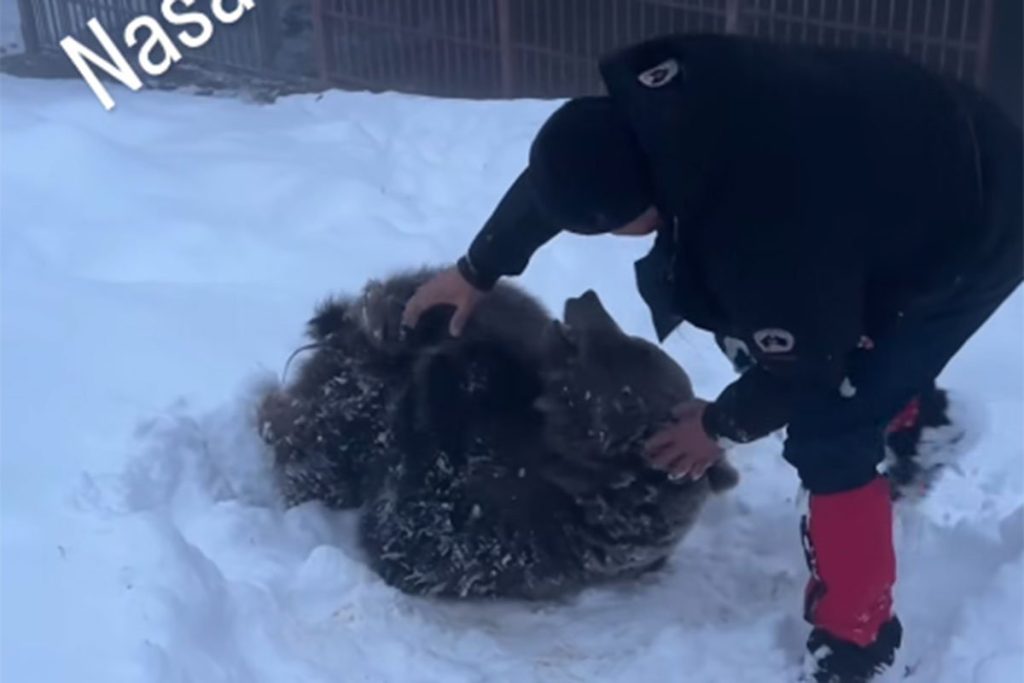 20251123120516_939041