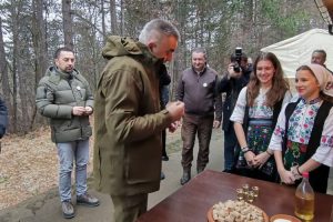 20260131152942531594