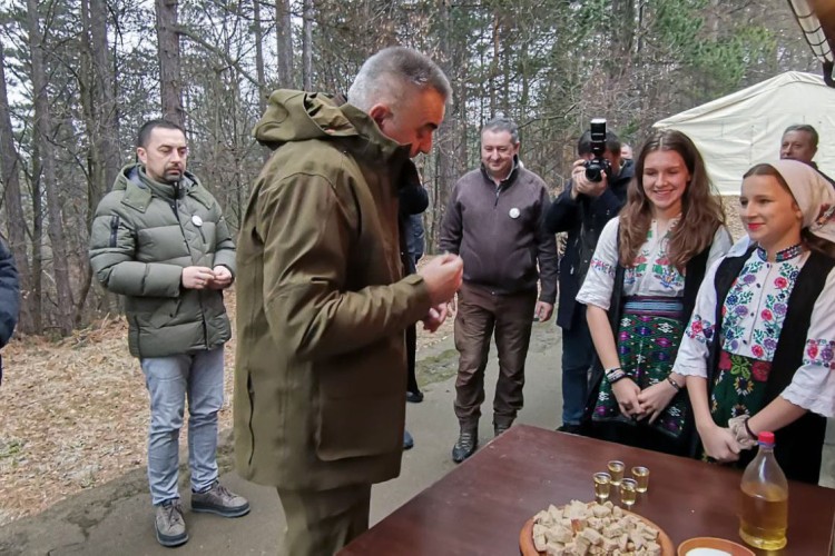 20260131152942531594