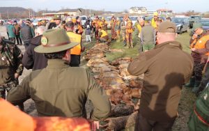 619167321_880309931253875_5987494444830427443_n