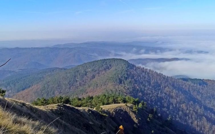 2026-III-23-Ozren-Gostilj-156x80-ss