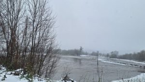 4db8b3e6-072a-4c04-a965-6f1c33754346