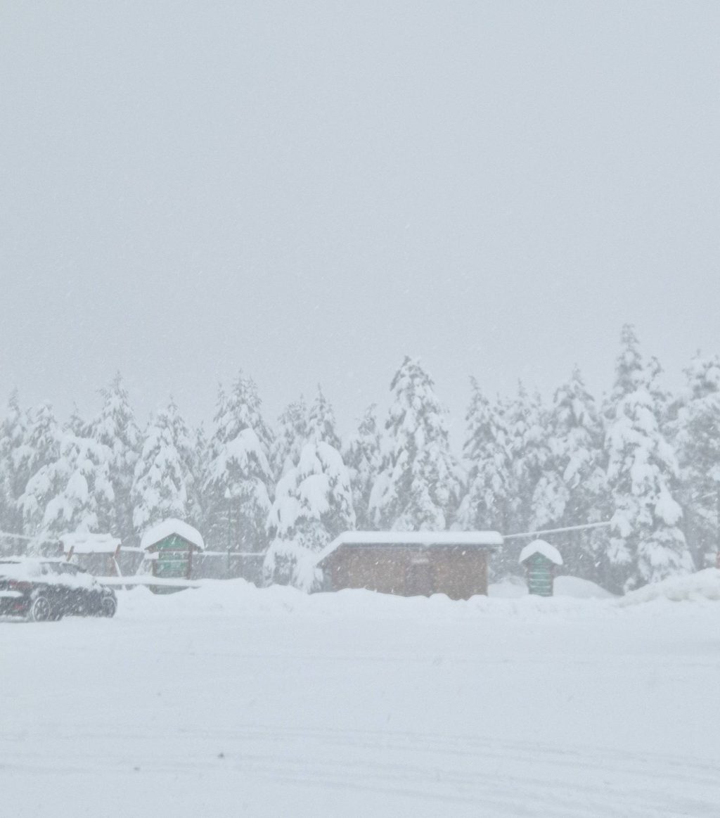 659002534_1483154706501857_4894644669473748826_n