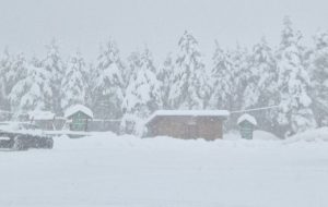 659002534_1483154706501857_4894644669473748826_n