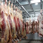 Cijene teletine u Republici Srpskoj dostigle istorijski maksimum