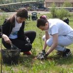“Elektrane Stanari” i aktivisti Omladinskog centra zasadili 500 sadnica bagrema, hrasta i lipe (FOTO/VIDEO)