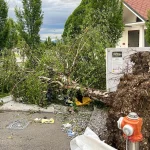 Oluja opustošila Sloveniju, oštećeno više od 150 objekata: „Ovdje više ništa neće porasti“ (FOTO)