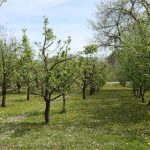 ŠTA JE OVO?! Kamera snimila misterioznog stvora, mnogima se digla kosa na glavi (VIDEO)