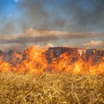 Požar kod Modriče, izgorjela pšenica