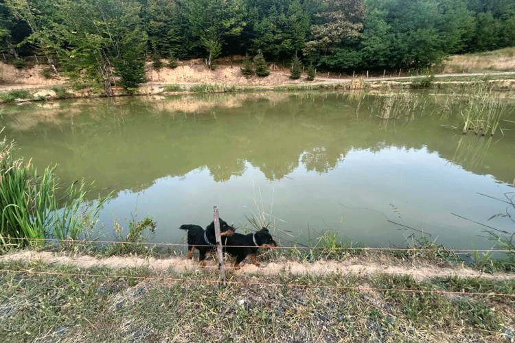 Nije učitano