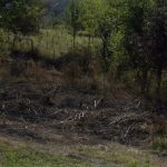 Dobojski vatrogasci – 44 intervencije od početka avgusta (VIDEO)