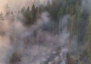 pozar-Bos.-Petrovac-foto-ftv-youtube-screenshot-2-872x610