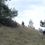 Na Gostilju održana tradicionalna manifestacija „Branje trave ive“ (FOTO/VIDEO)
